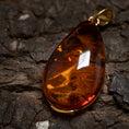 Ladda upp bild i Galleri visare, Hänge Bärnsten Solia 925s Silver