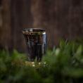 Ladda upp bild i Galleri visare, Drikkeglashornet (100 ml) er sat mod en sløret træbaggrund med grønt løv i forgrunden. Dette polerede drikkeglas fremviser en skinnende kant og et glat, buet design.