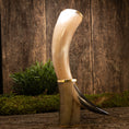 Ladda upp bild i Galleri visare, Drikkehorn Ordained Galore, med guldaccenter og en poleret finish, står elegant på en rustik træoverflade understøttet af en vinklet base. Bag den er der en frodig grøn plante og en mosbevokset plet, alt sammen sat mod en tekstureret træbaggrund. Dette bøffelhorn har et slankt, naturligt design, perfekt til udstilling ved vikinge-markering.