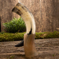 Ladda upp bild i Galleri visare, Et poleret Drikkehorn Valravn med en gradient fra hvid til mørkebrun står oprejst på en rustik træoverflade ved siden af en lille høj af mos og grønt. Baggrunden er et tekstureret, forvitret træpanel, der fremkalder billeder af et tidligere vikingemarked.