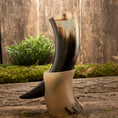 Ladda upp bild i Galleri visare, To Drikkehorn Valravn, den ene i beige og den anden i sort med hvide og brune striber, er elegant stablet på en rustik træoverflade. Bag dem er en frodig grøn plante, og baggrunden har et forvitret træpanel prydet med mosede pletter, der perfekt fanger en autentisk vikingemærket atmosfære.